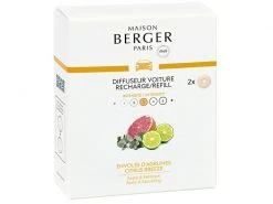 Maison Berger Autodiffusor Refill Envolée d'Agrumes 2 Stück