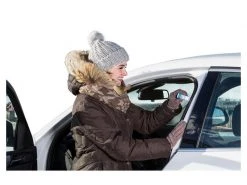 Sonax Pflegestift mit Hirschtalg, 20 g -Fahrzeug Verkaufsladen 230094093 xxl